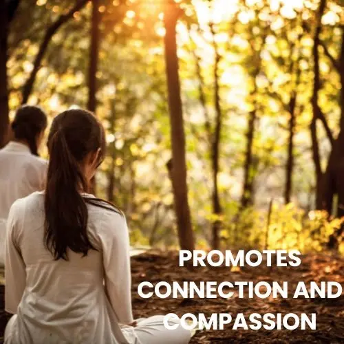 Promotes connection and compassion