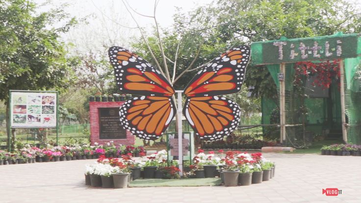 best park to visit near chandigarh