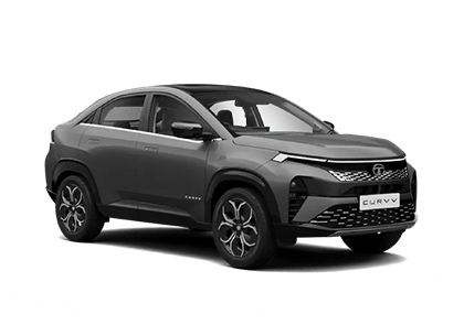 A Glimpse of the Future