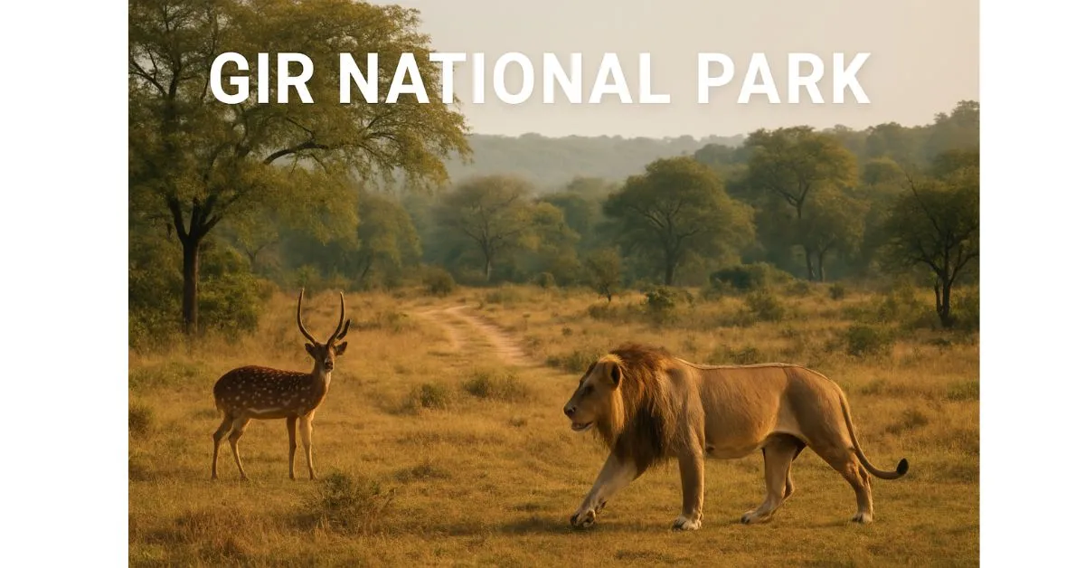 national park in gujarat