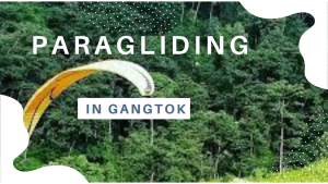 Best Place for Paragliding Near Chandigarh 