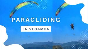 Best Place for Paragliding Near Chandigarh 