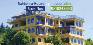 Best Mountain View Hotel in Naldehra