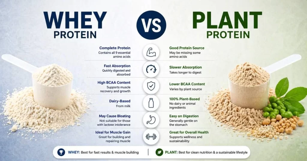 Super Clean Protein Powder