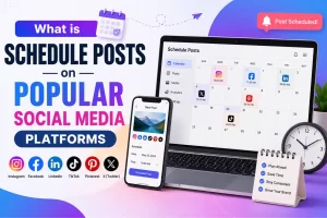 What is Schedule Posts on Popular Social Media Platforms