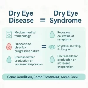 Dry Eye Disease Common Eye Diseases and Their Treatments: A Complete Guide
