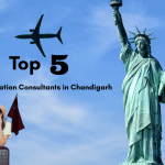 Top 5 Immigration Consultants in Chandigarh – Go Global With Us