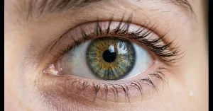 Simple Eye Care Tips for Everyday Life
